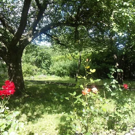 Le Grand Jardin * Beaune (Cote d'Or)
