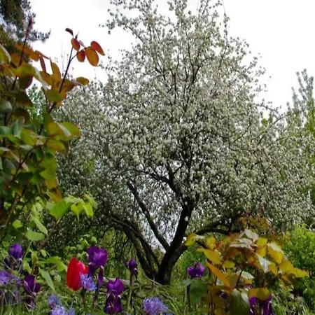 Bed & Breakfast Le Grand Jardin *